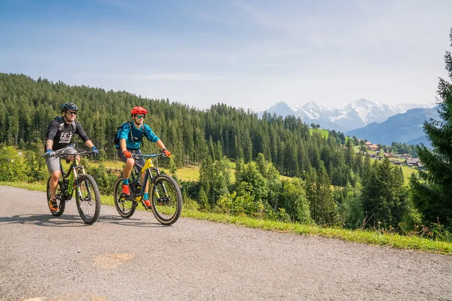 Zwei Mountainbiker am Beatenberg