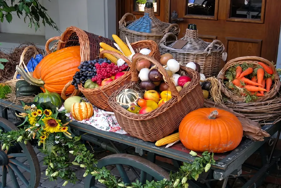 Paniers de courges, de légumes et de fruits