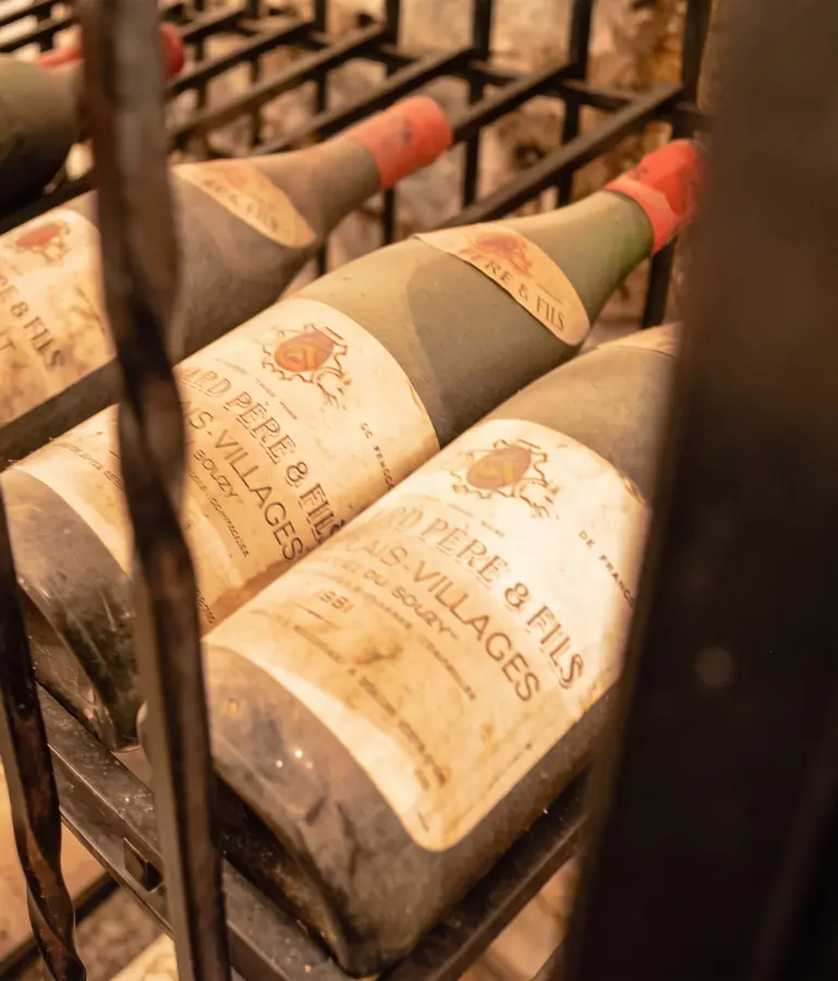 Vieilles bouteilles de vin dans la cave voûtée de l’hôtel